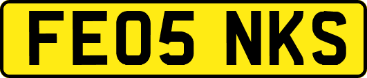 FE05NKS