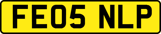 FE05NLP
