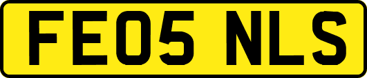 FE05NLS
