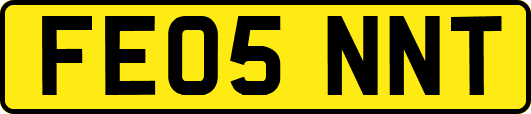 FE05NNT