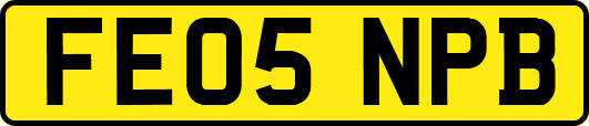 FE05NPB