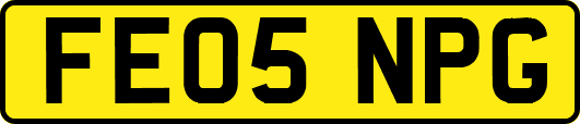 FE05NPG
