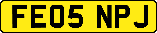 FE05NPJ