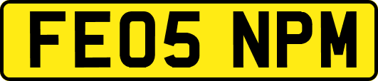 FE05NPM