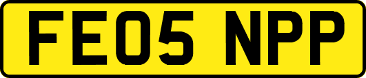 FE05NPP