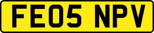 FE05NPV
