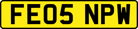 FE05NPW