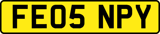 FE05NPY