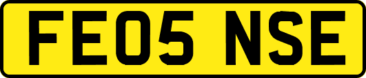 FE05NSE