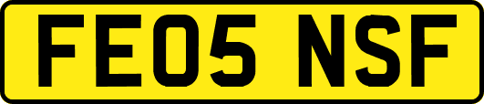 FE05NSF
