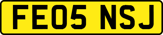 FE05NSJ