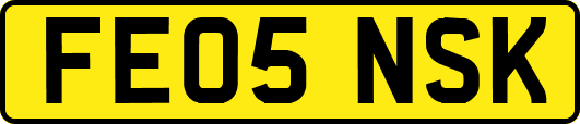 FE05NSK