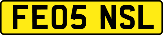 FE05NSL
