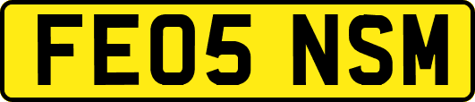 FE05NSM