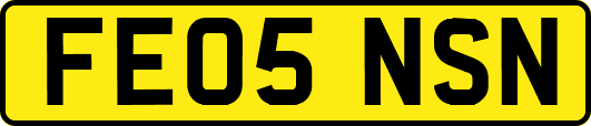 FE05NSN