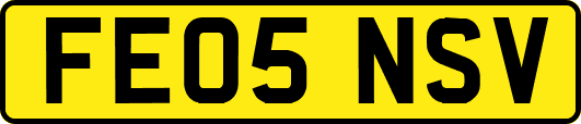 FE05NSV