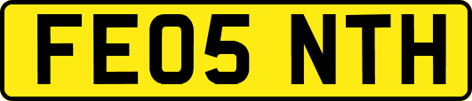 FE05NTH