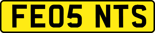 FE05NTS