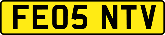 FE05NTV