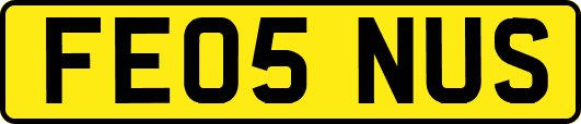 FE05NUS