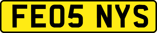 FE05NYS
