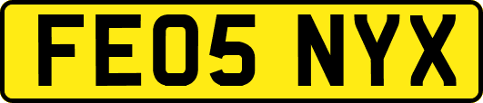 FE05NYX