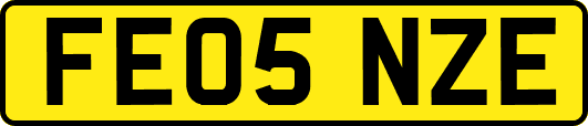 FE05NZE