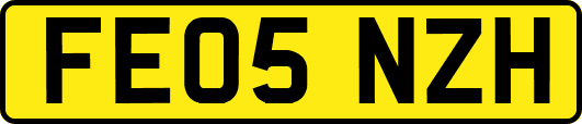 FE05NZH