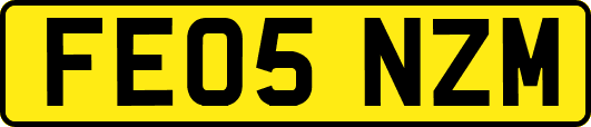 FE05NZM