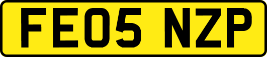 FE05NZP