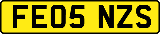FE05NZS