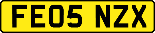 FE05NZX