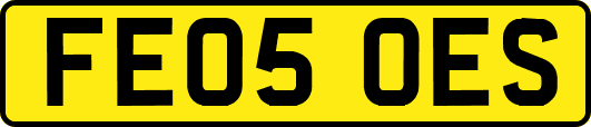 FE05OES
