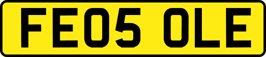 FE05OLE