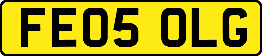 FE05OLG