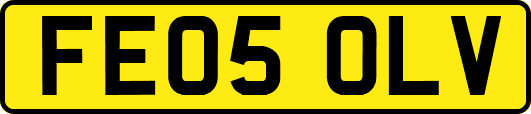 FE05OLV