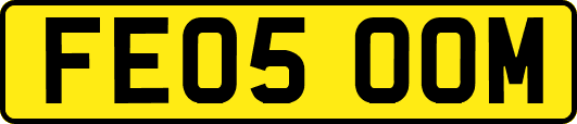 FE05OOM