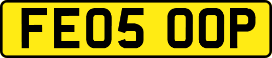 FE05OOP