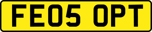 FE05OPT