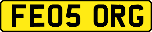 FE05ORG