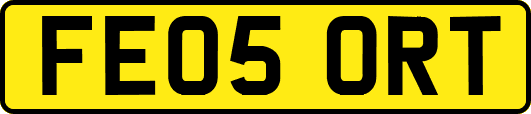 FE05ORT