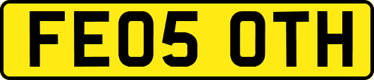 FE05OTH