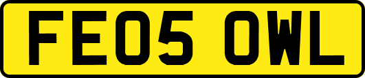 FE05OWL