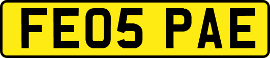 FE05PAE