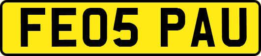 FE05PAU