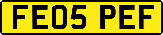 FE05PEF