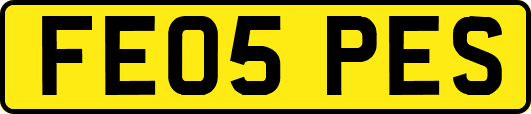 FE05PES