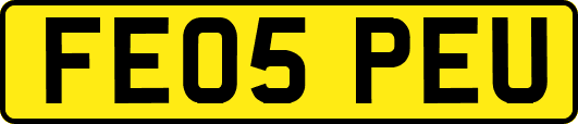 FE05PEU