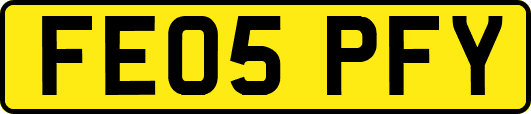 FE05PFY