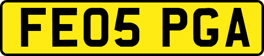 FE05PGA